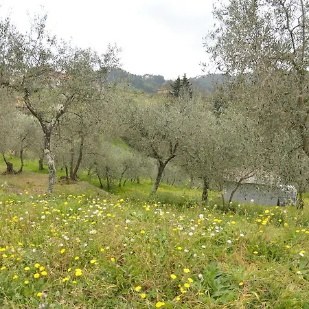 Casale Geniva